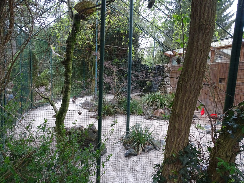 South America aviary