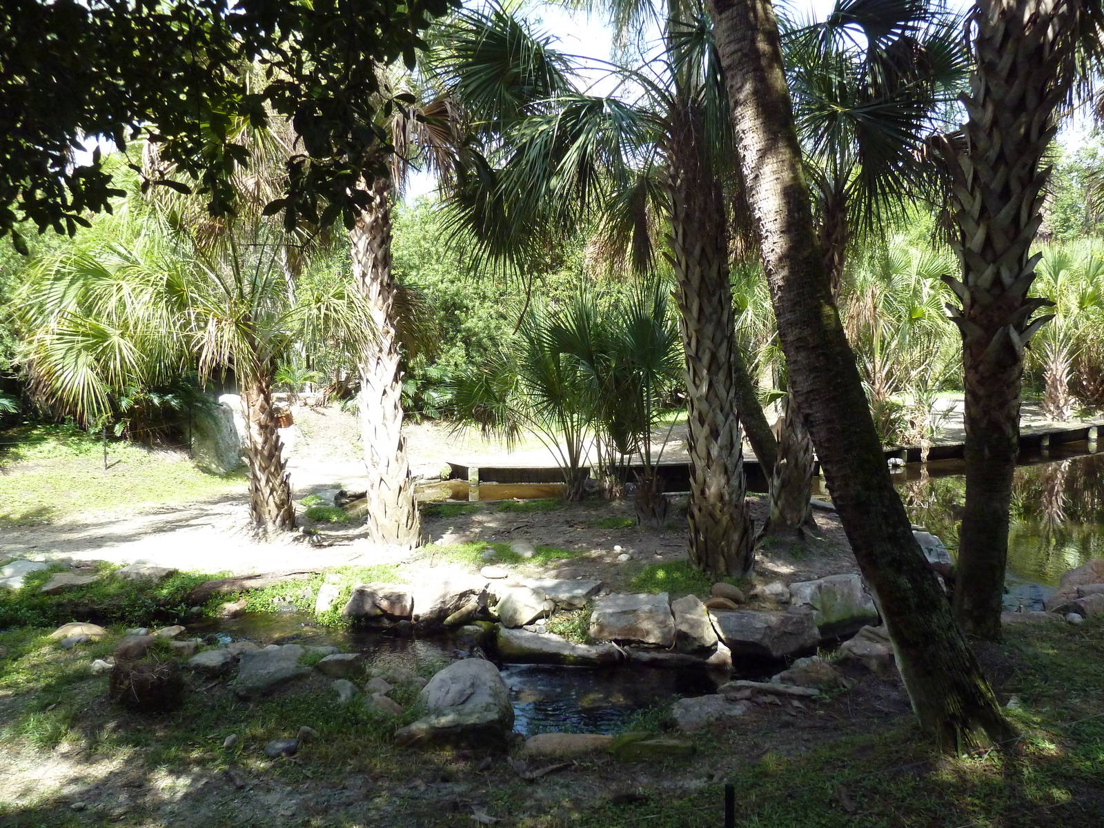 South America - Baird's Tapir Exhibit