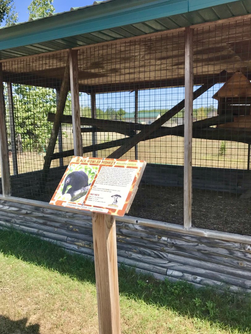 “South America”- black howler monkey exhibit
