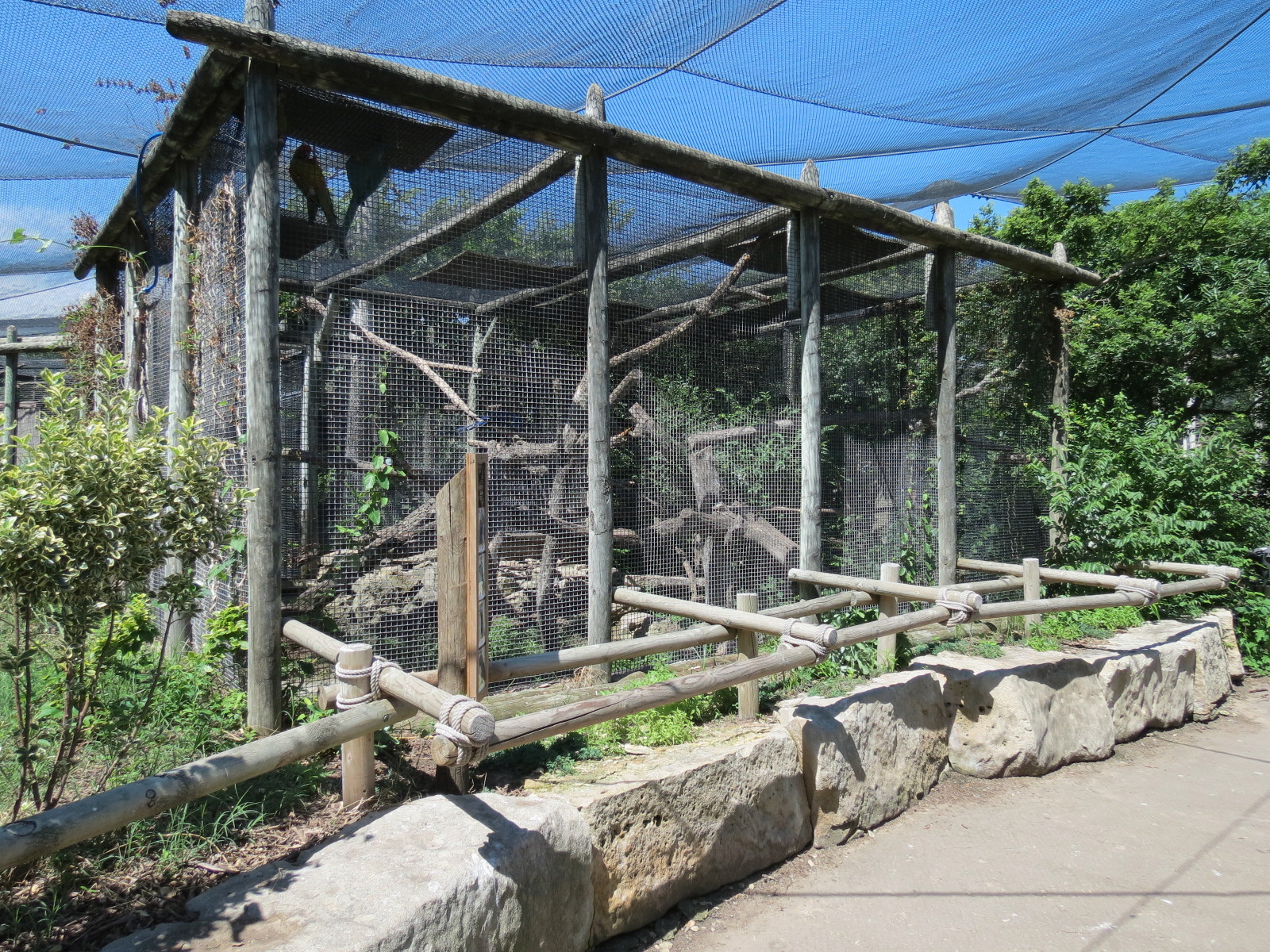 South America - Blue-Throated Macaw and Others Exhibit