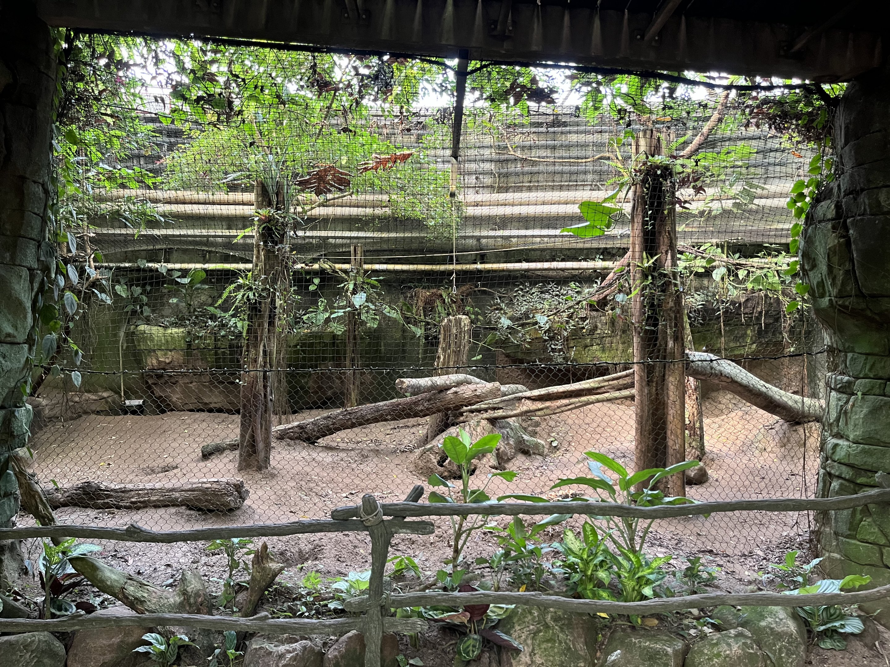 South America - Bush Dog Exhibit
