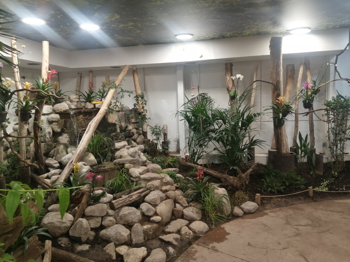 South America - Butterflie's House