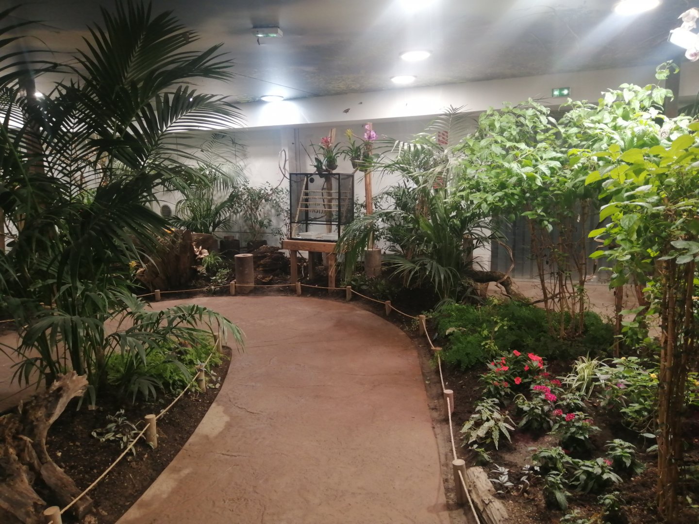 South America - Butterflie's House