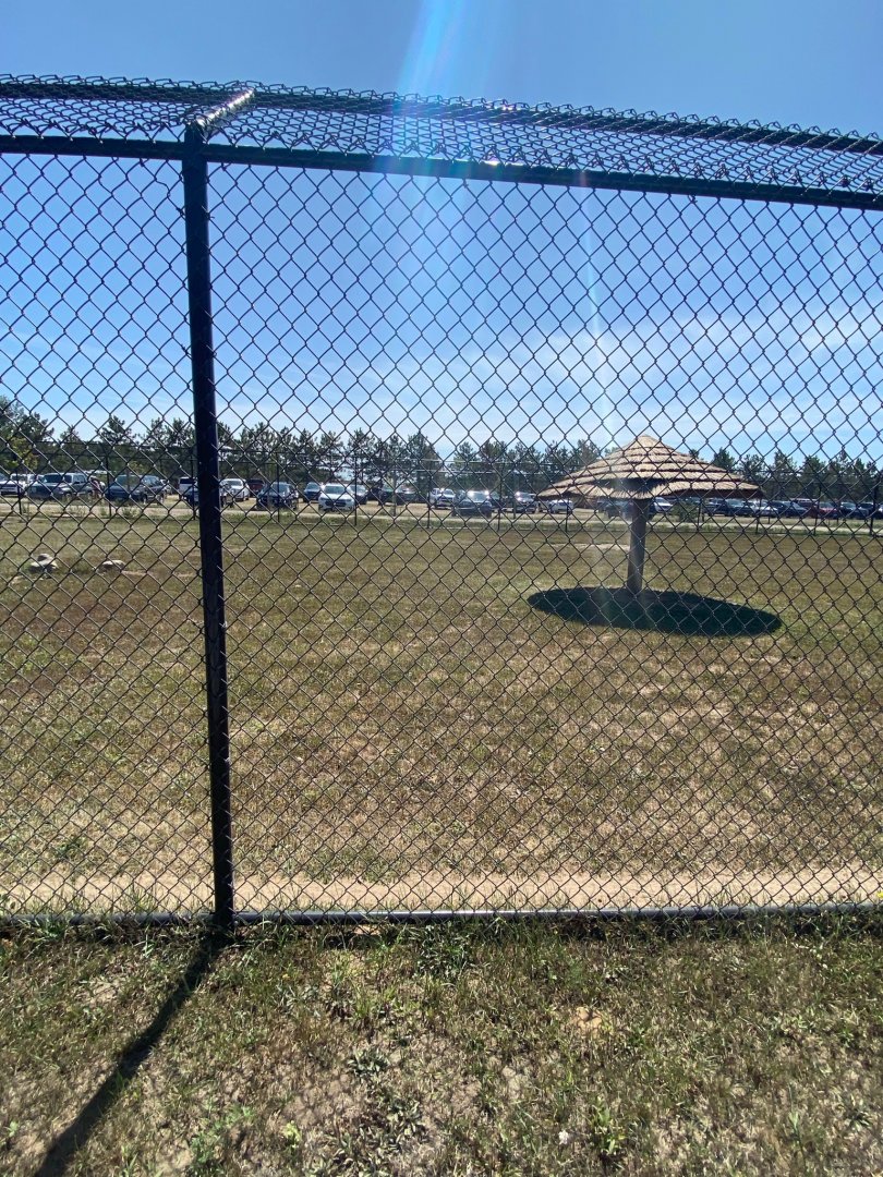 “South America”- cheetah exhibit