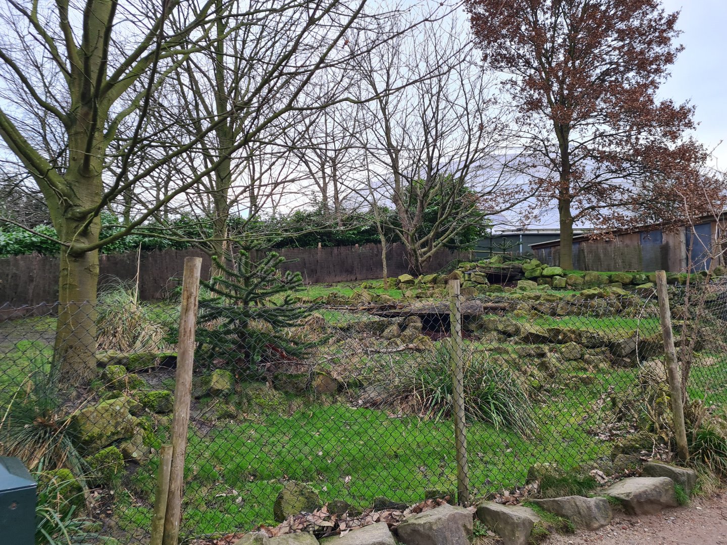 South America - Chilean pudu enclosure