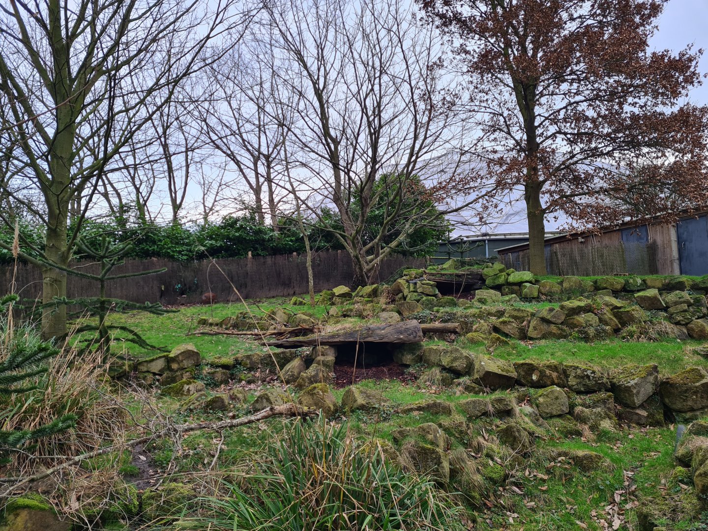 South America - Chilean pudu enclosure