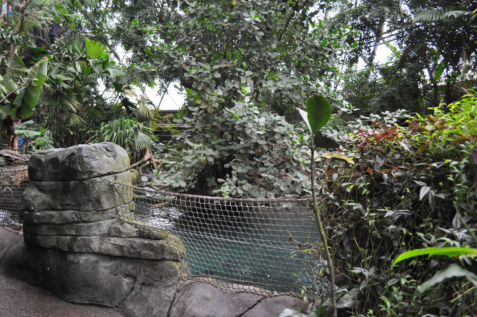 South America Dome - Manatee Pool