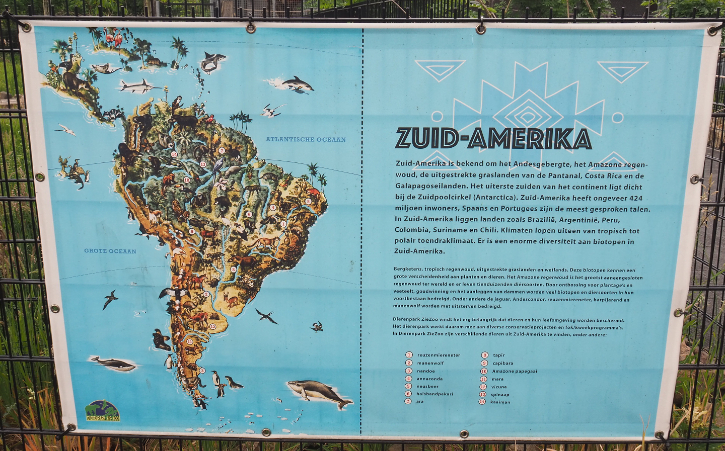 South America education signage with species drawing, 2022-05-17