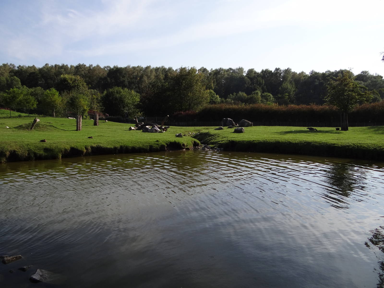 South America enclosure