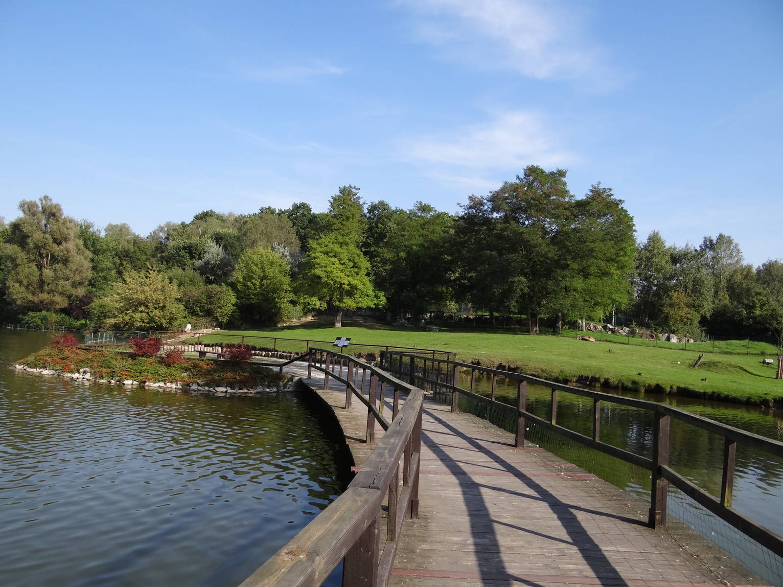 South America enclosure