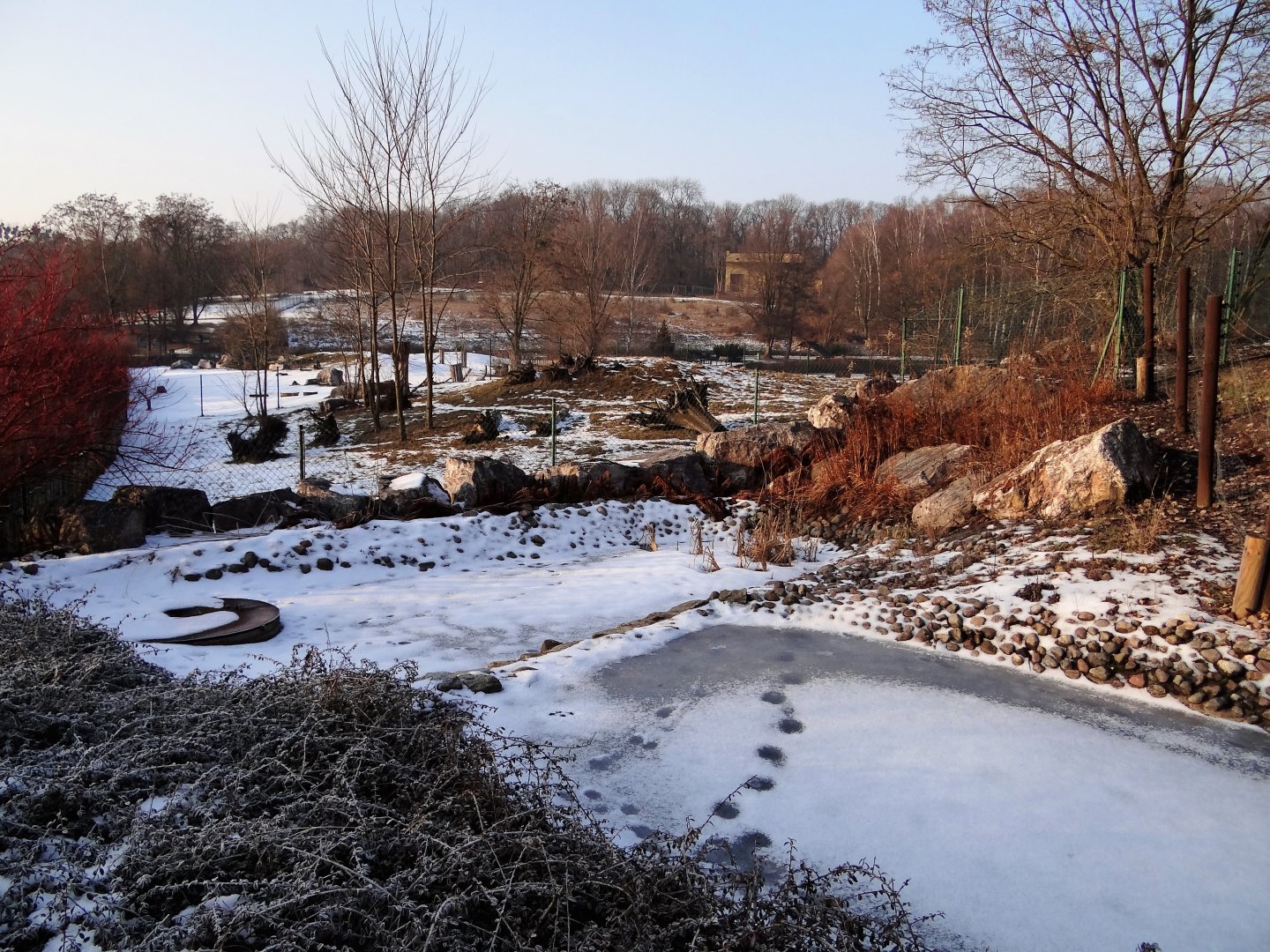 South America enclosure