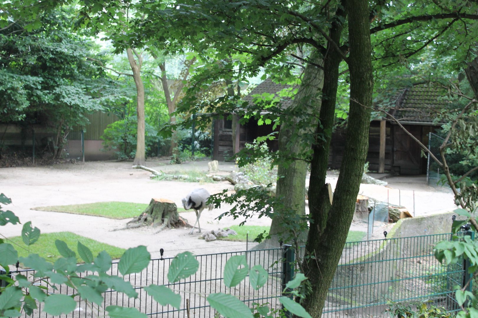 South America-enclosure