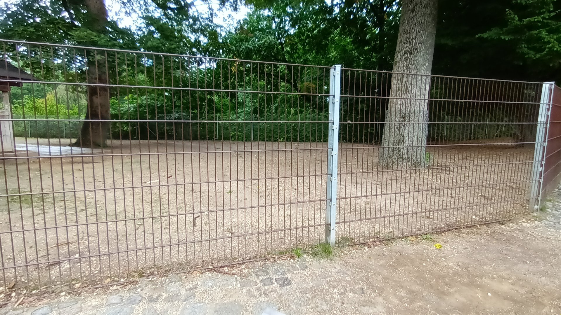 South America Enclosure