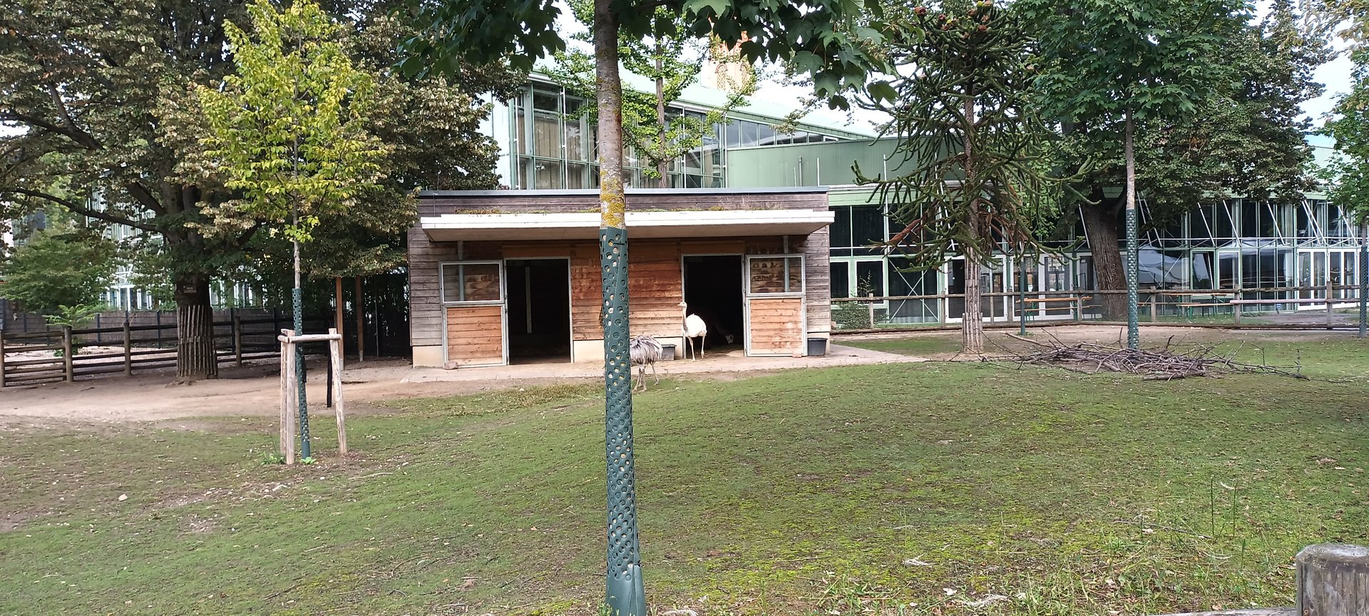 South America Enclosure