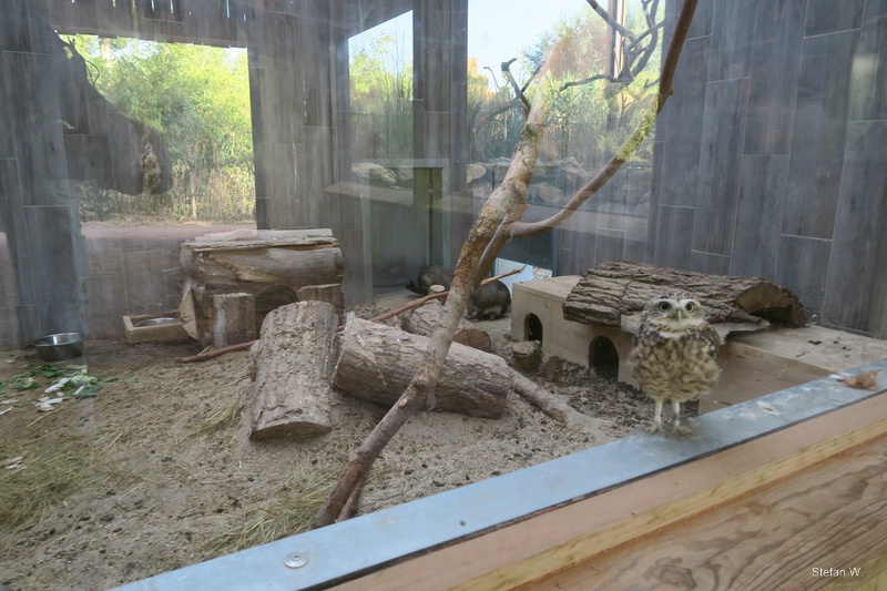 South America Enclosure