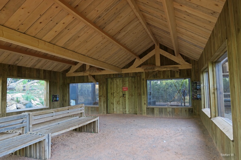 South America Enclosures with giant anteaters