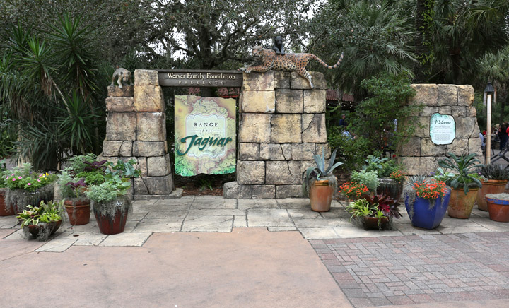 South America Entrance