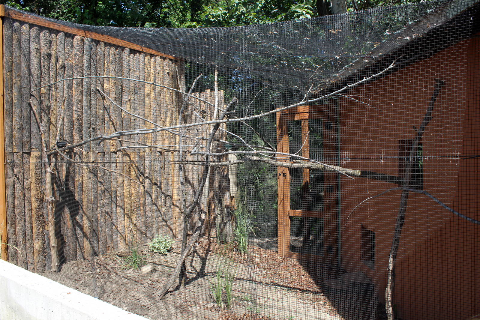 South America Exhibit - Aviary