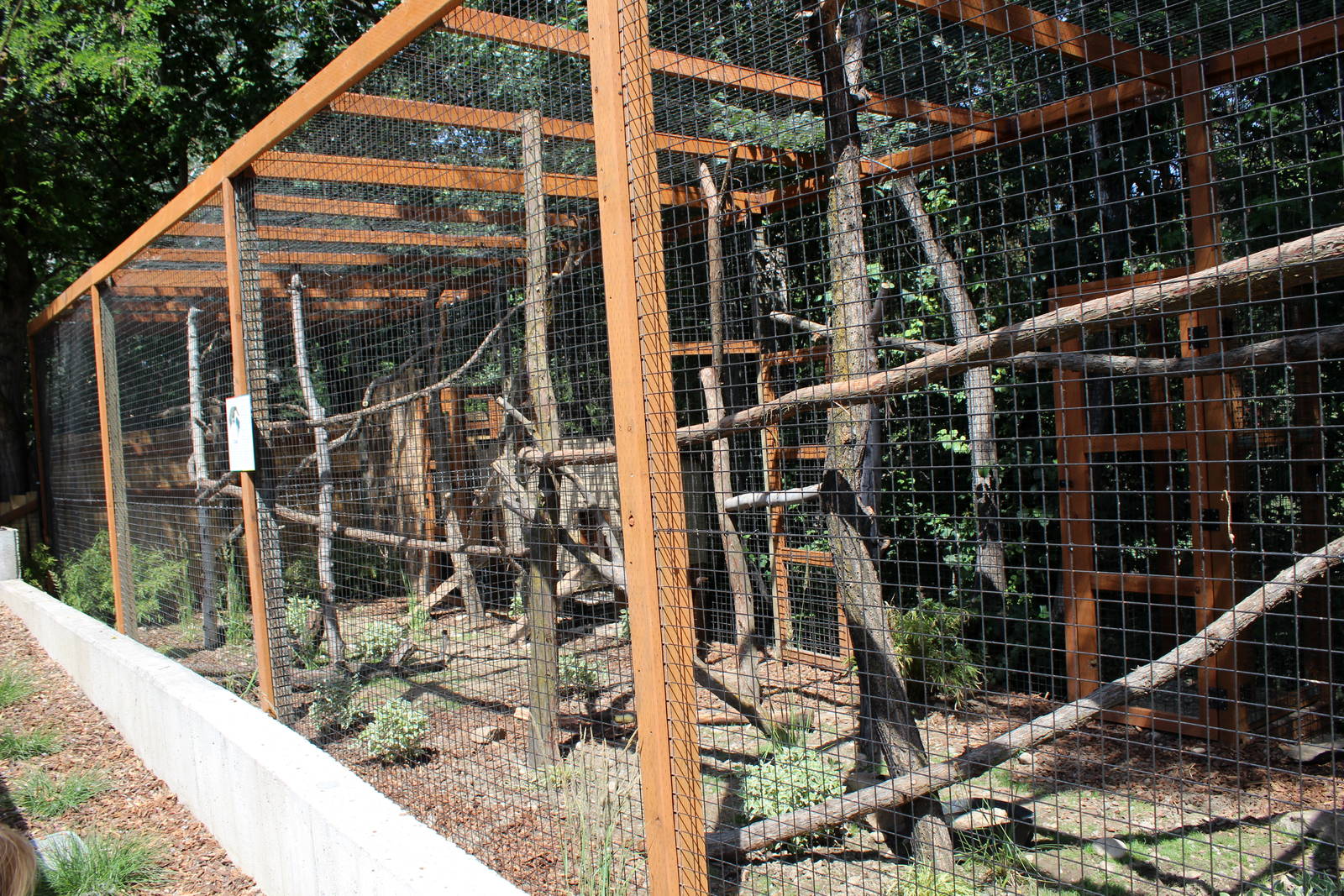 South America Exhibit - Coati Exhibit