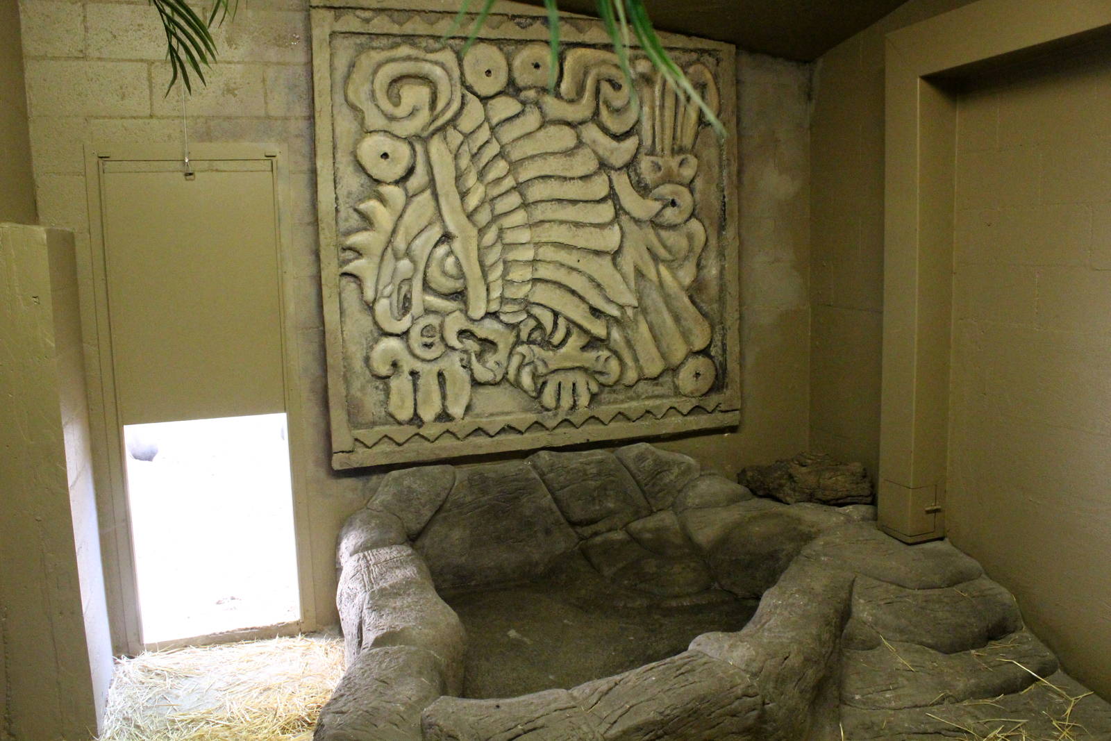 South America Exhibit - Indoor Capybara Exhibit