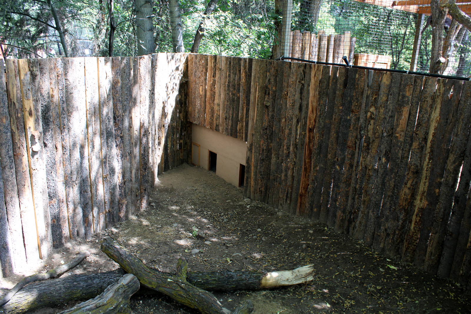 South America Exhibit - Patagonian Mara Holding