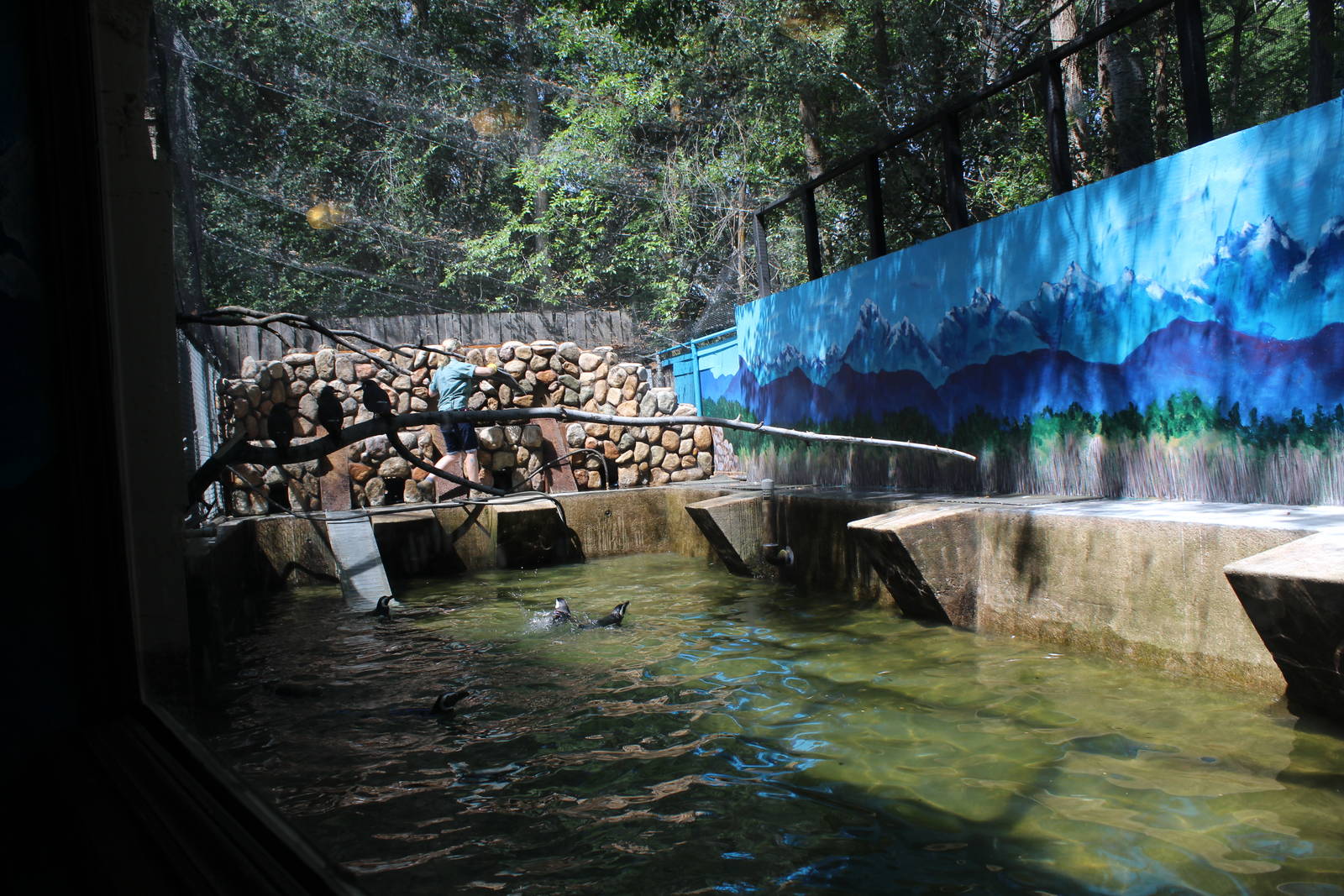 South America Exhibit Penguin Pavilion