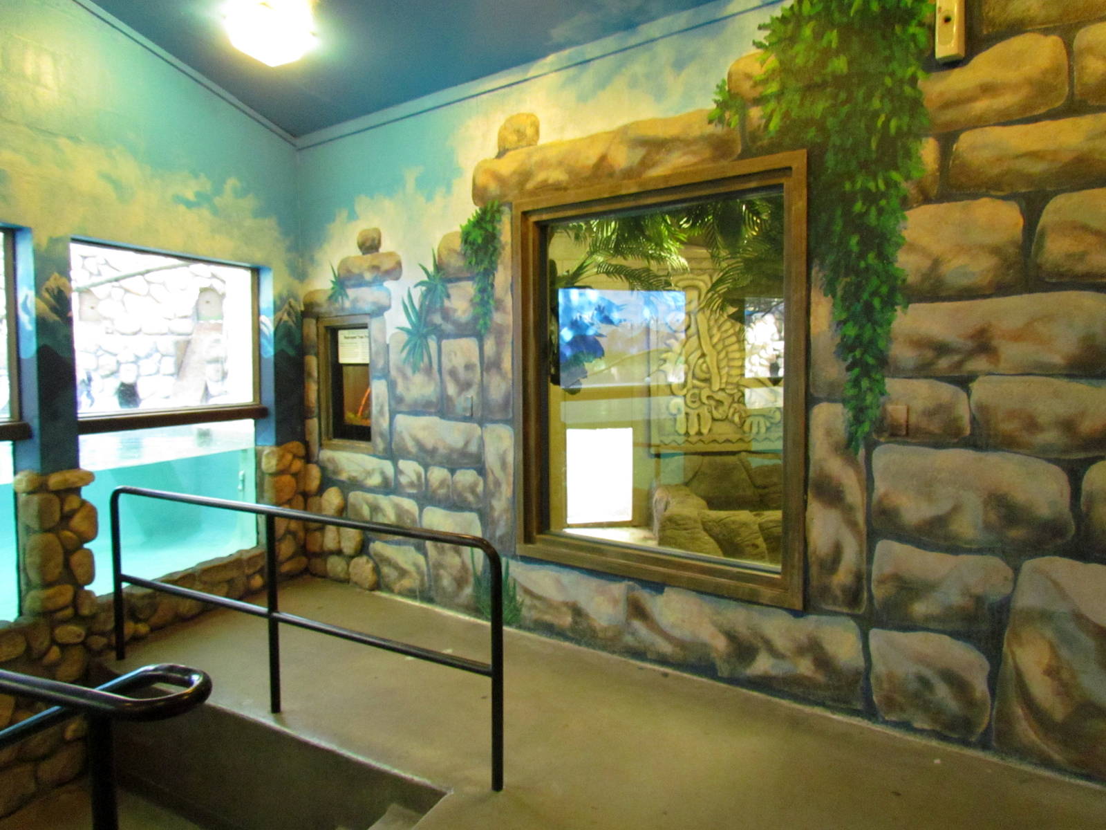 South America Exhibit - Penguin Viewing