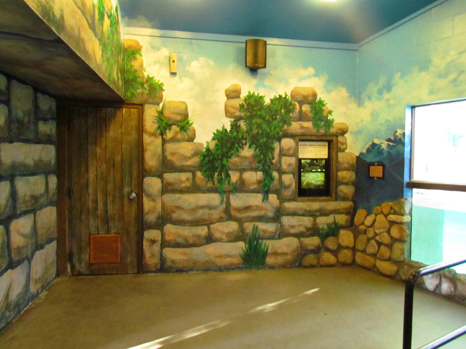 South America Exhibit - Penguin Viewing