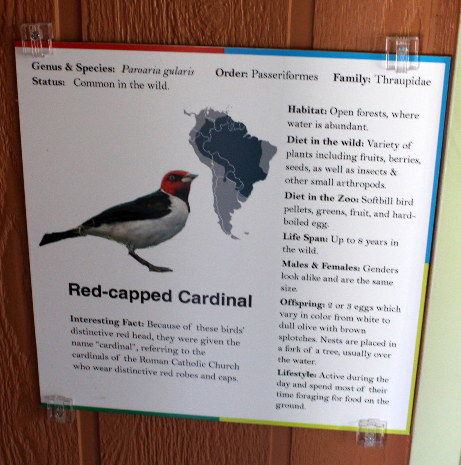 South America Exhibit - Signage