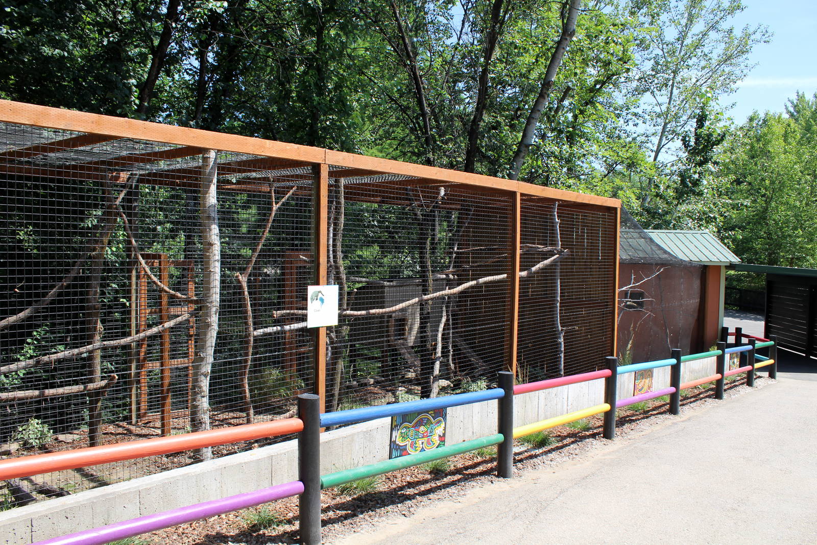 South America Exhibit - White-nosed Coati Exhibit