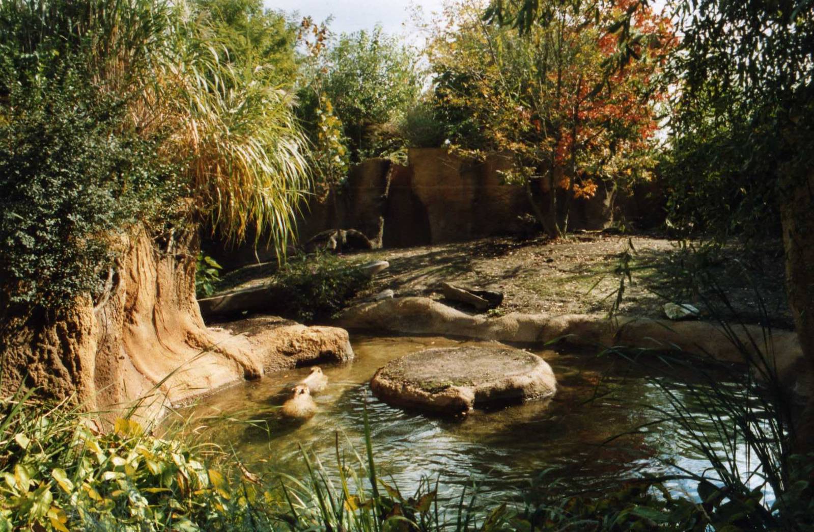 South America Exhibit