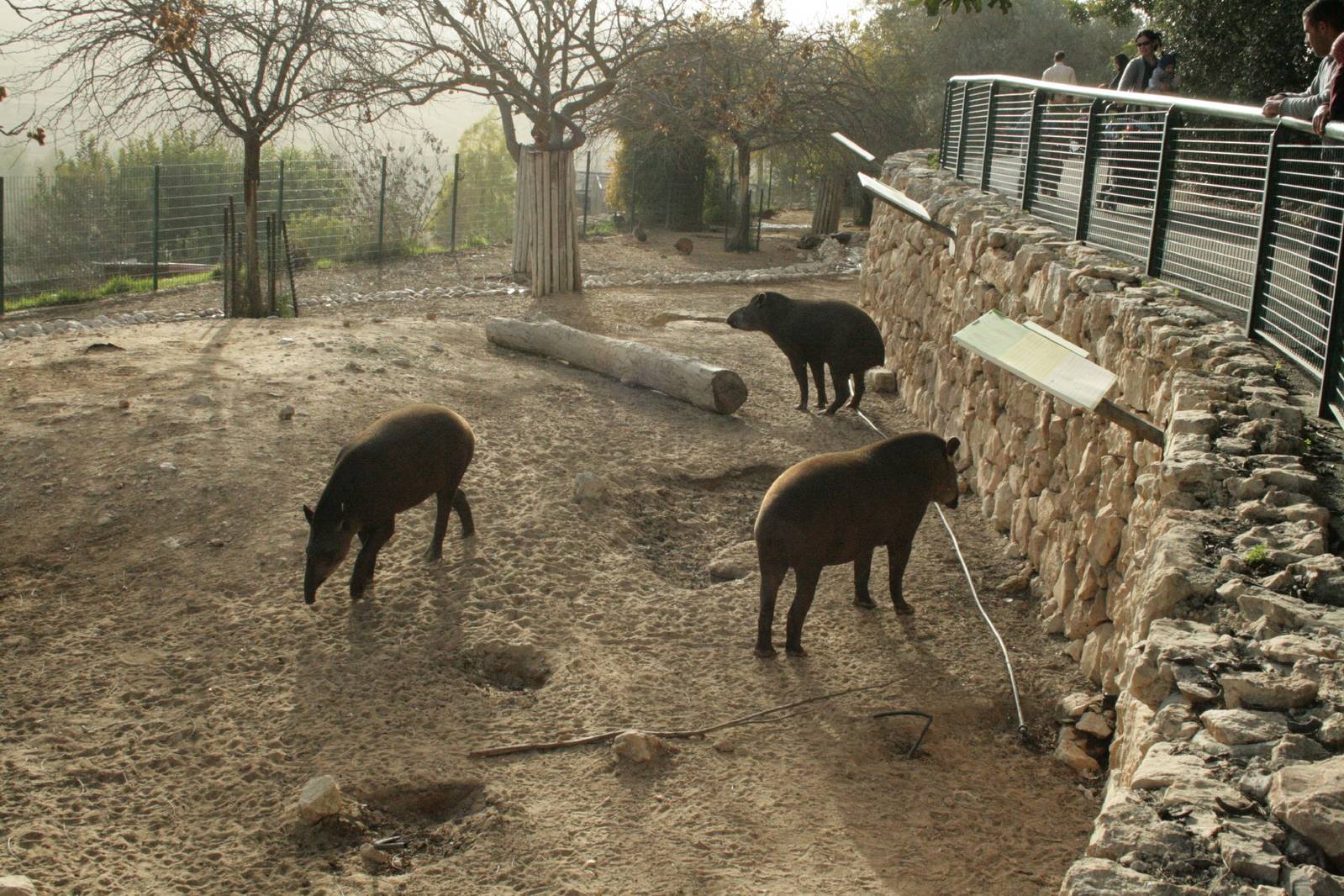 south america exhibit