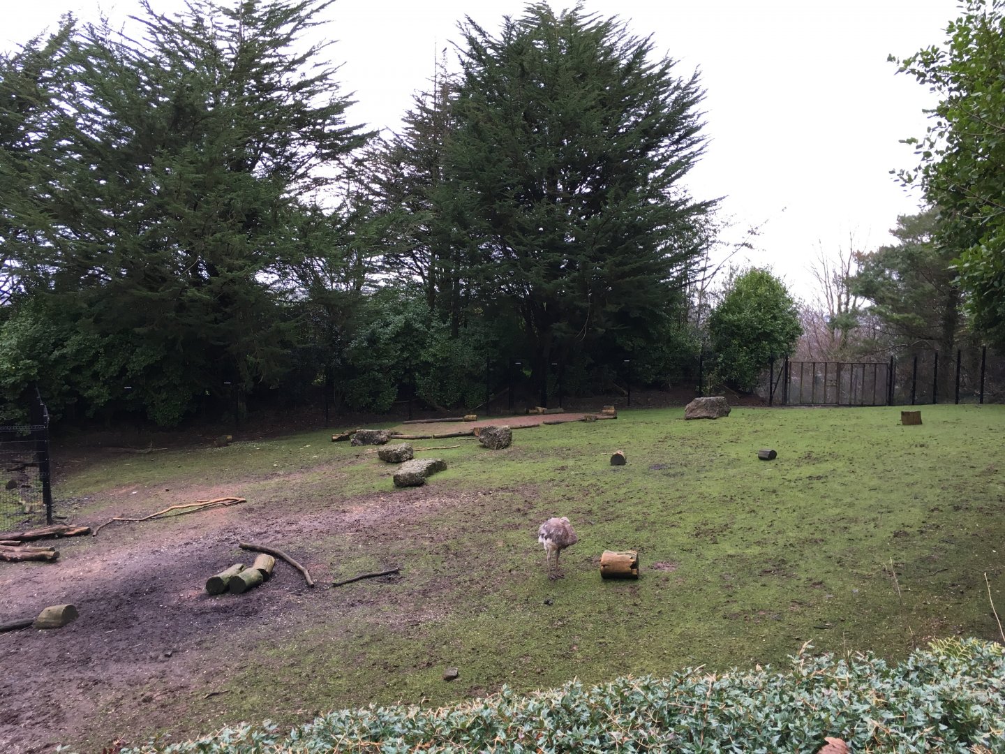 South America Exhibit