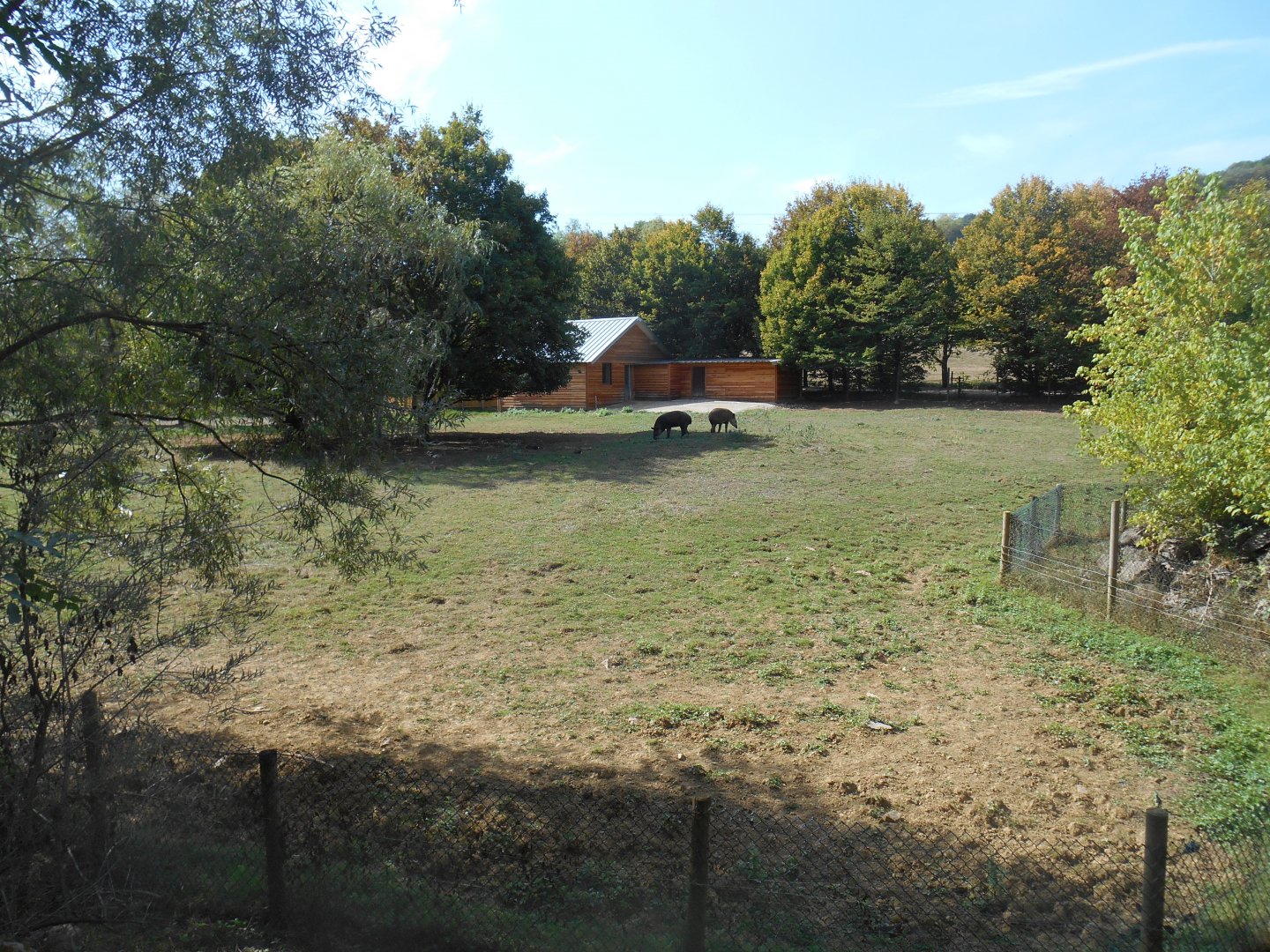 South America Exhibit