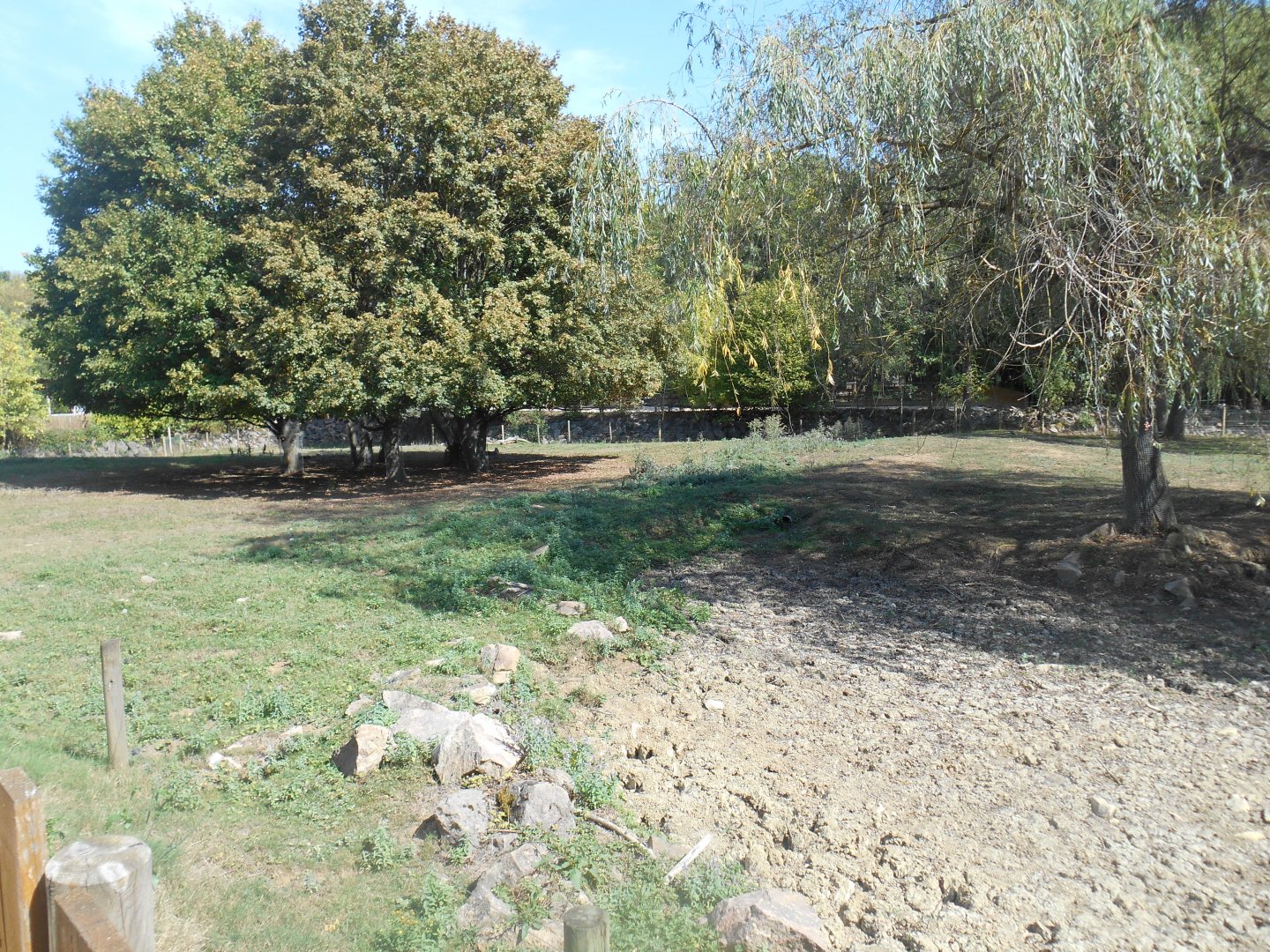 South America Exhibit