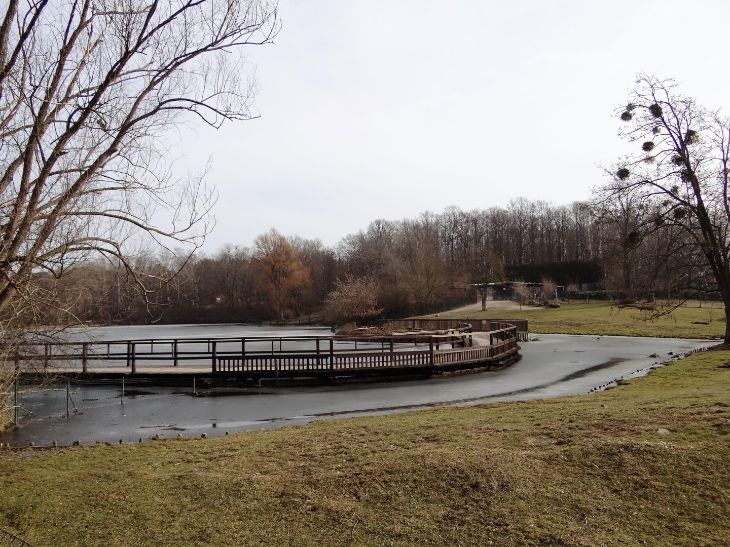 South America exhibit
