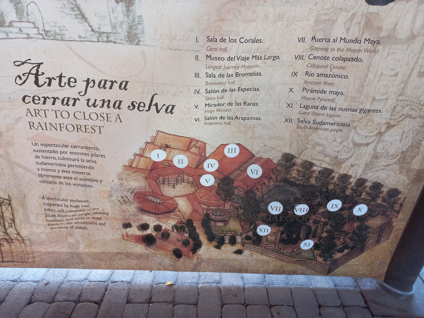 South america extention model