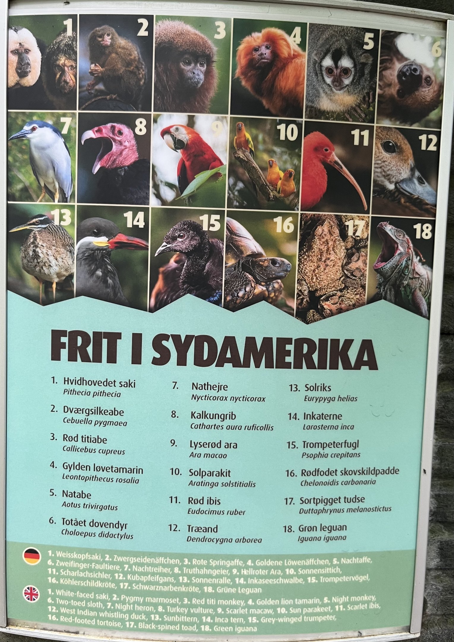 South America - free ranging species