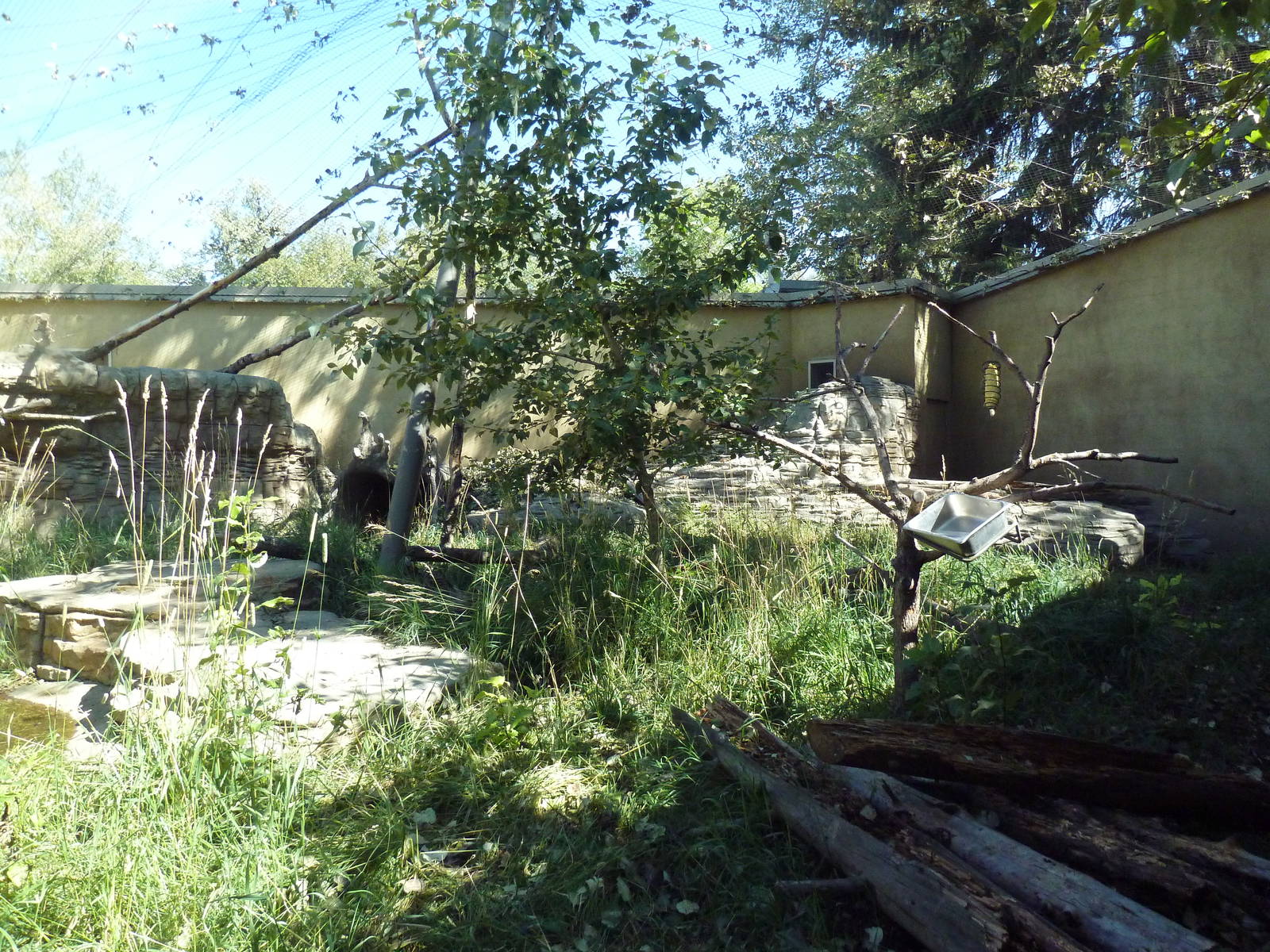 South America - Giant Anteater/Hyacinth Macaw Exhibit
