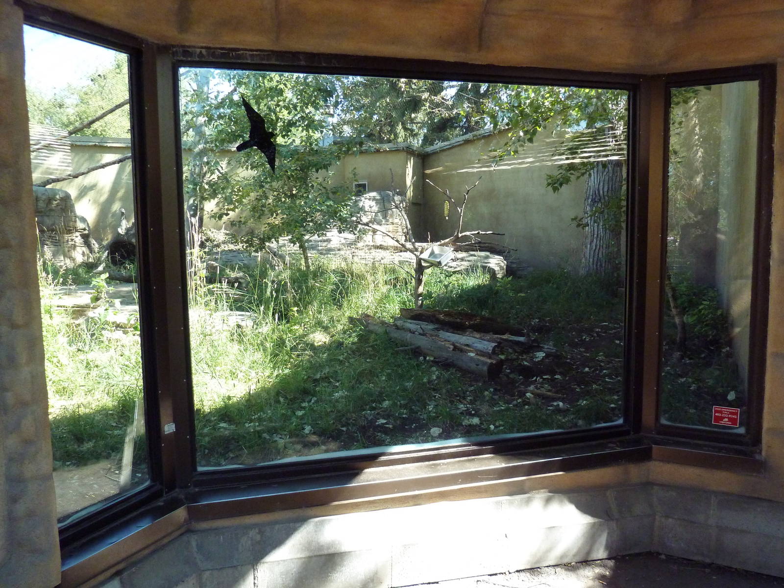 South America - Giant Anteater/Hyacinth Macaw Exhibit