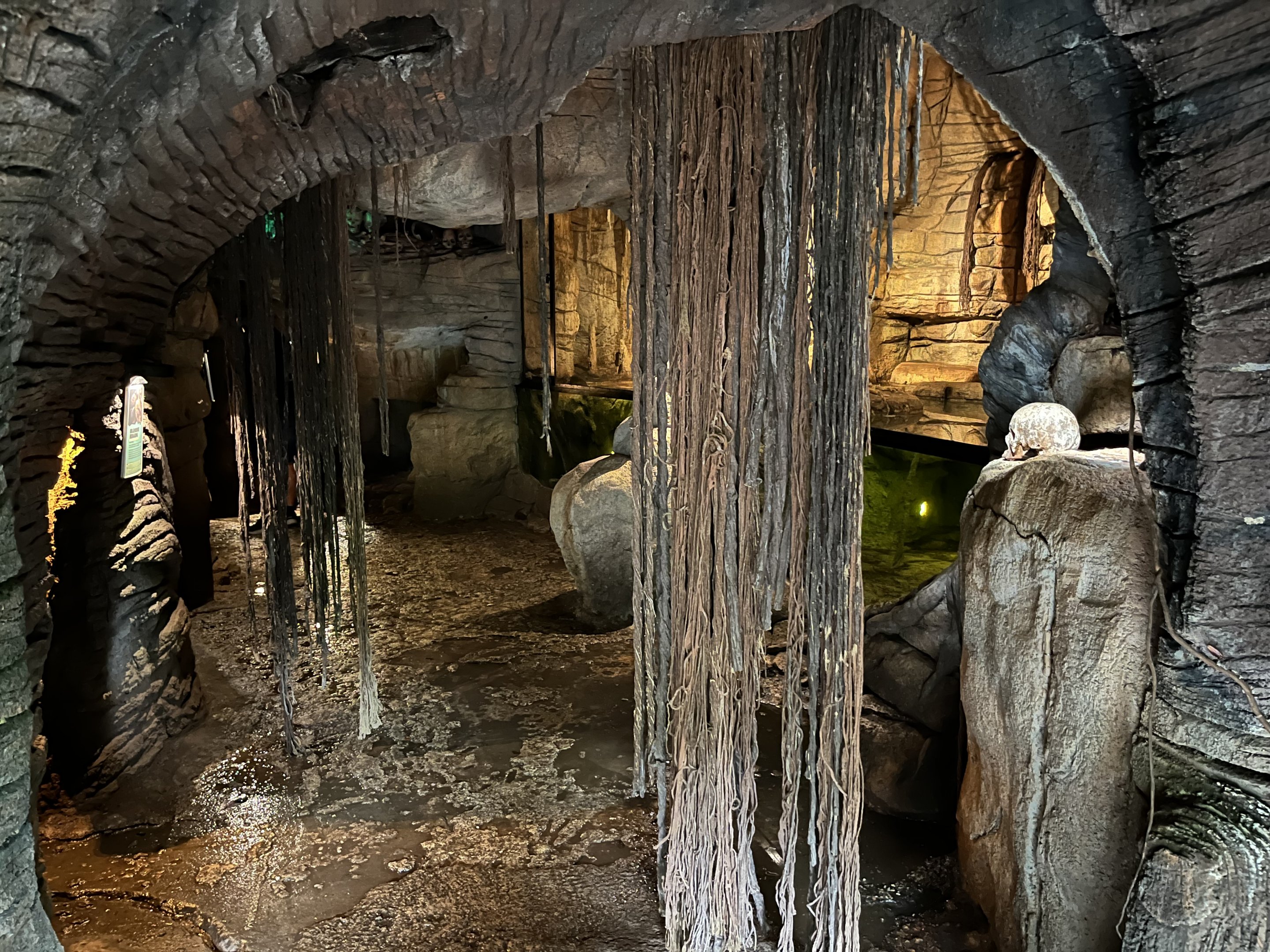 South America - Green Anaconda Cave