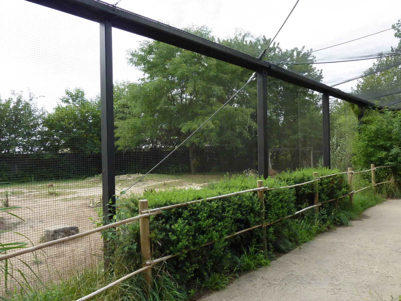 South America - Guanaco Enclosure