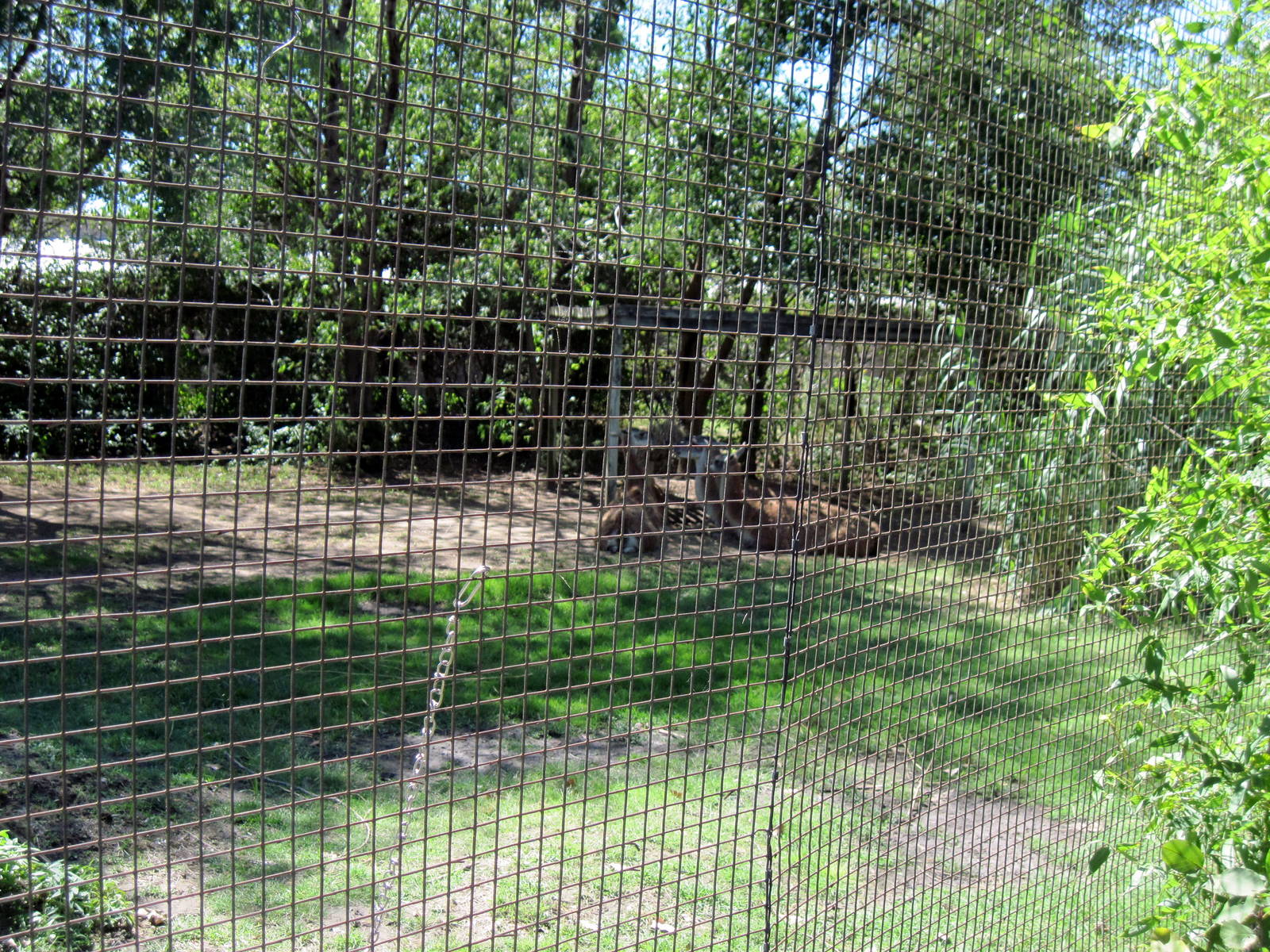 South America-Guanao Exhibit