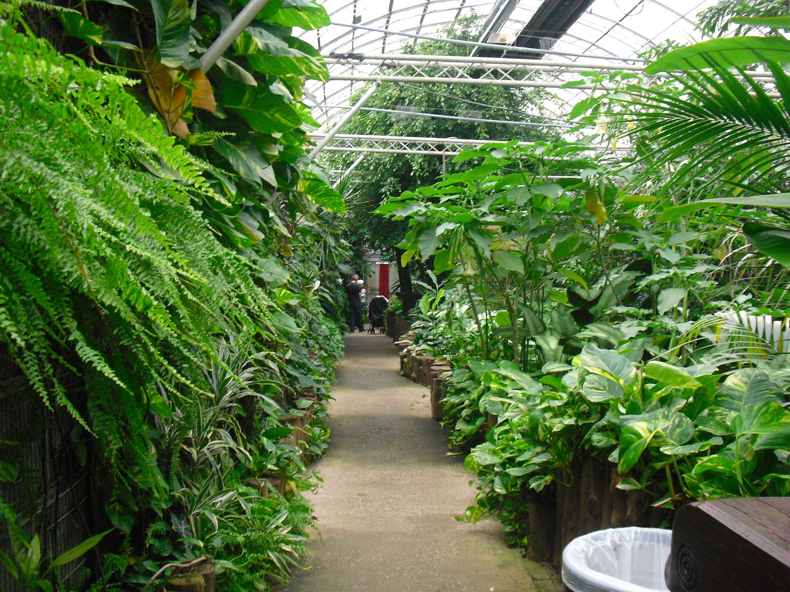 South America House - 12/10/2011