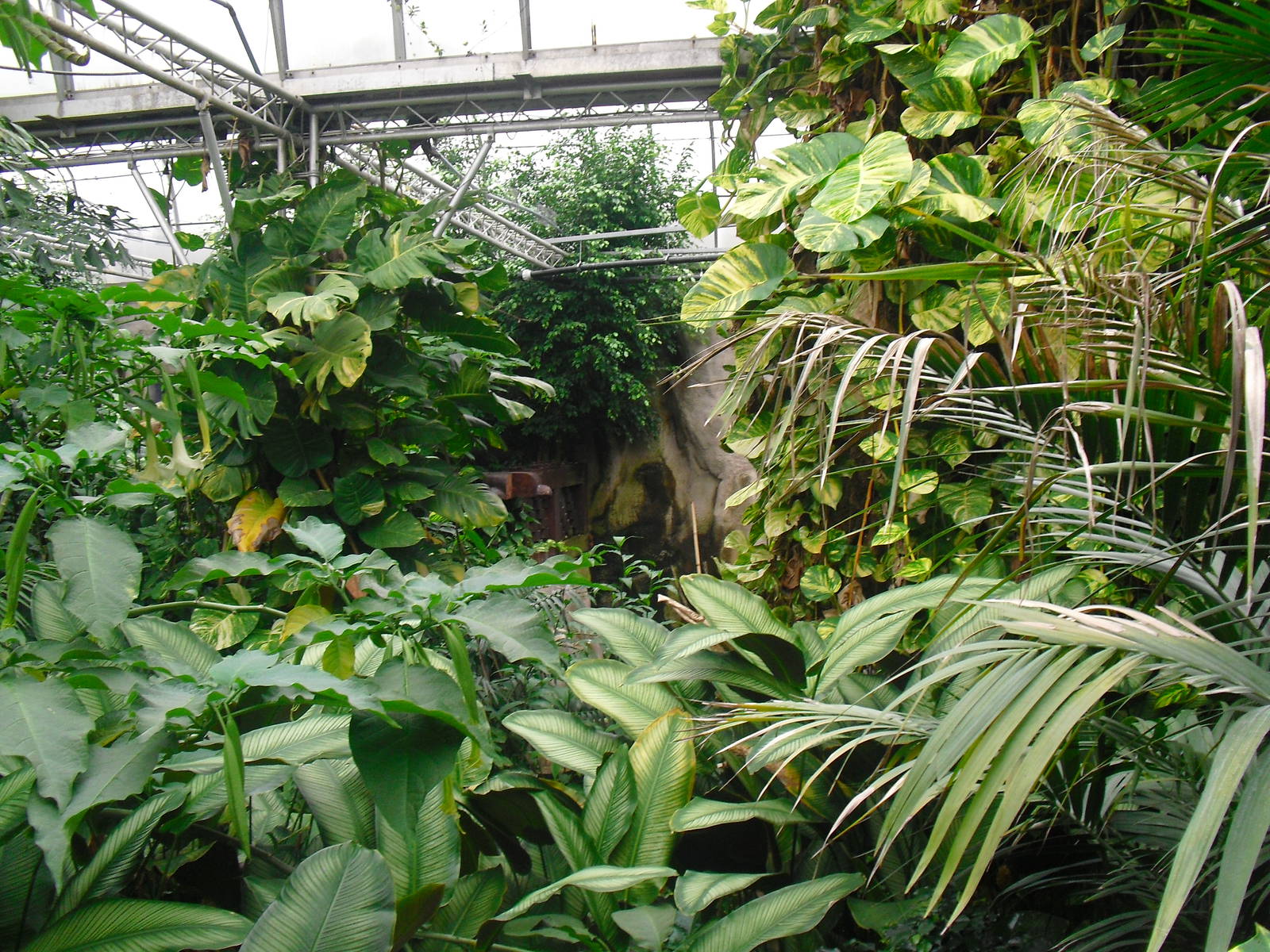 South America House - 12/10/2011