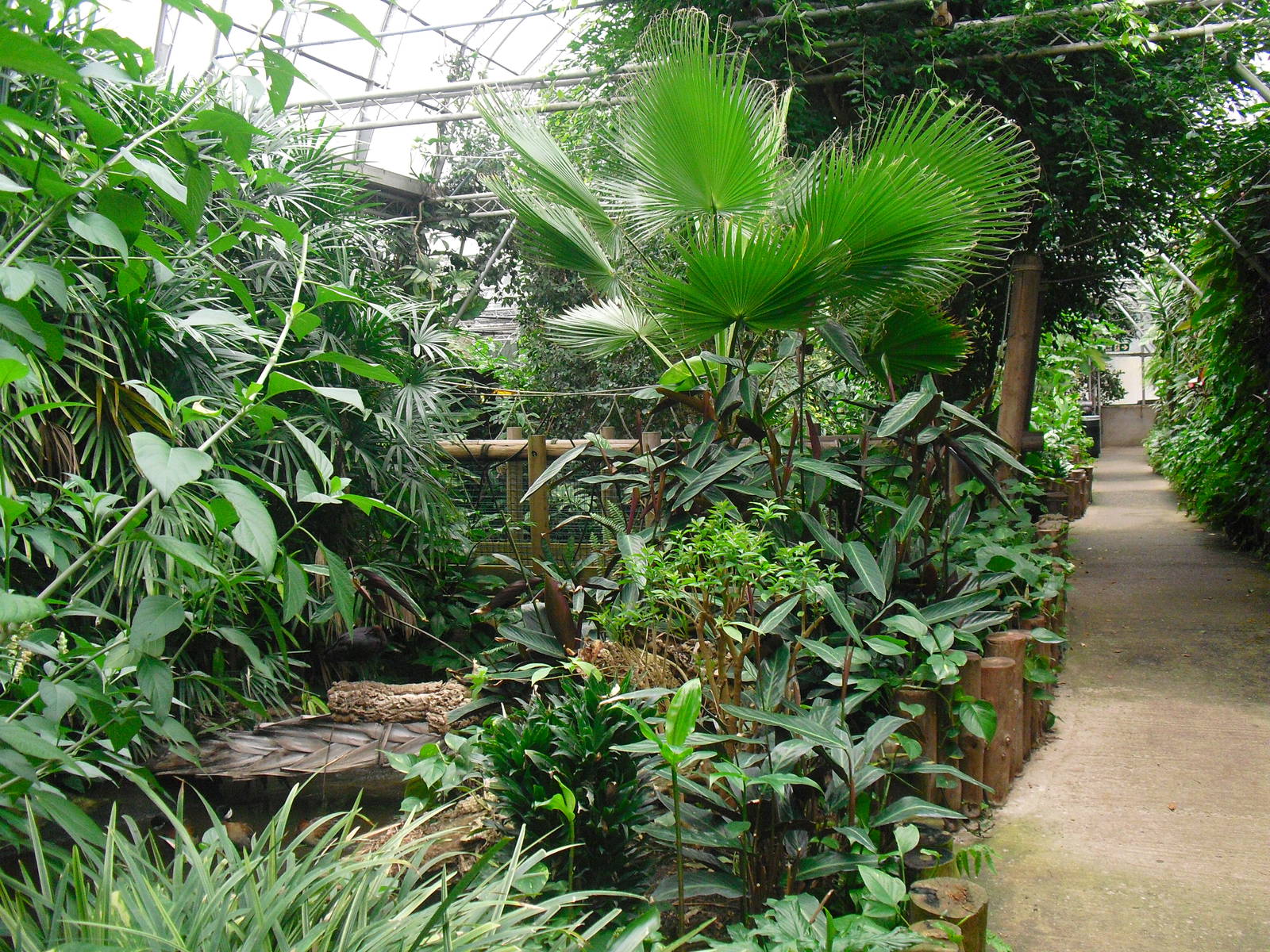 South America House - 12/10/2011