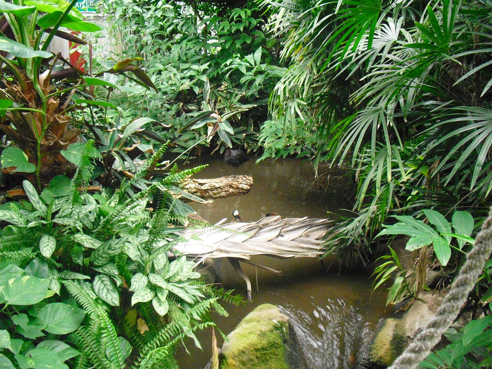 South America House - 12/10/2011