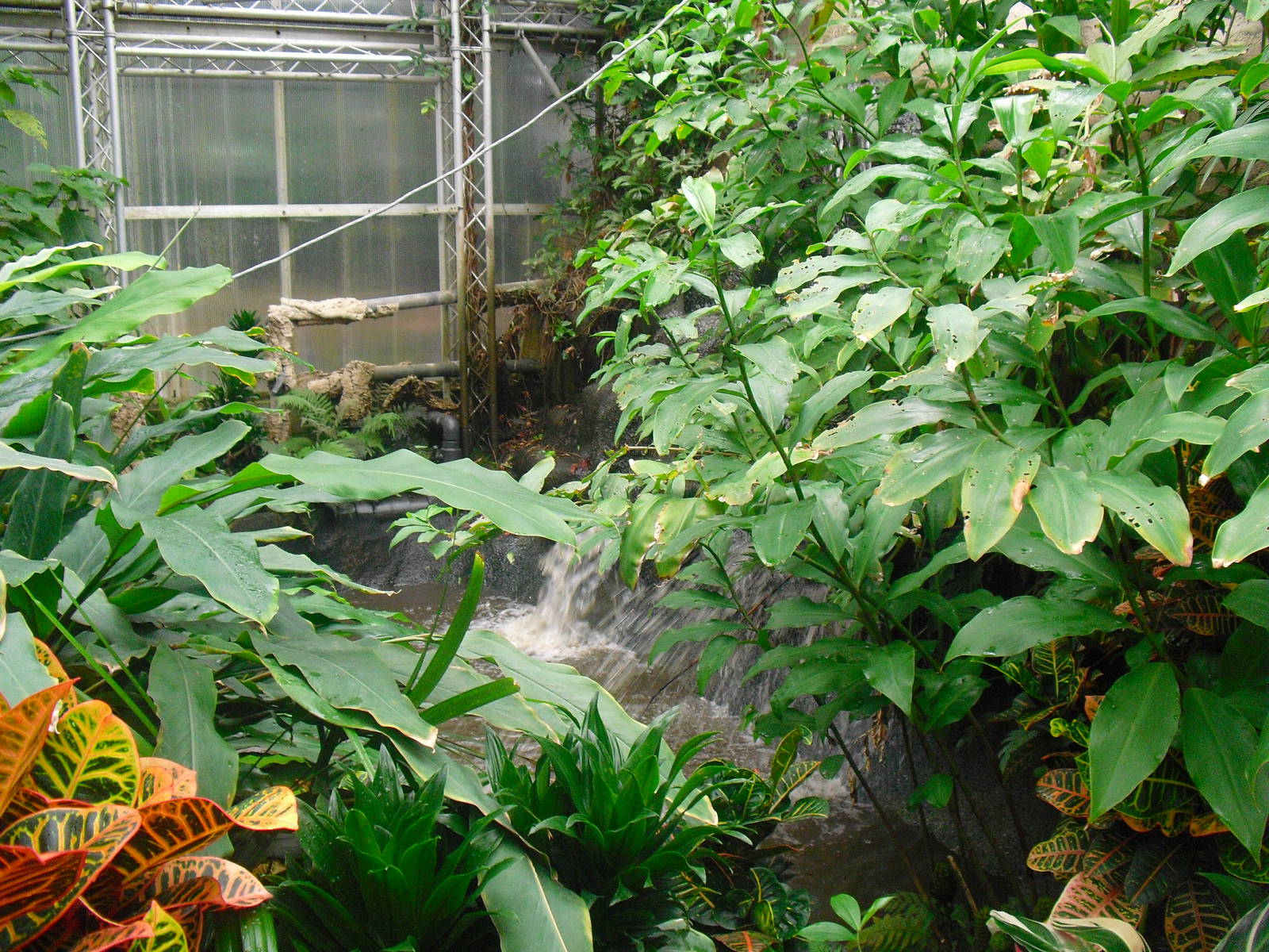 South America House - 12/10/2011