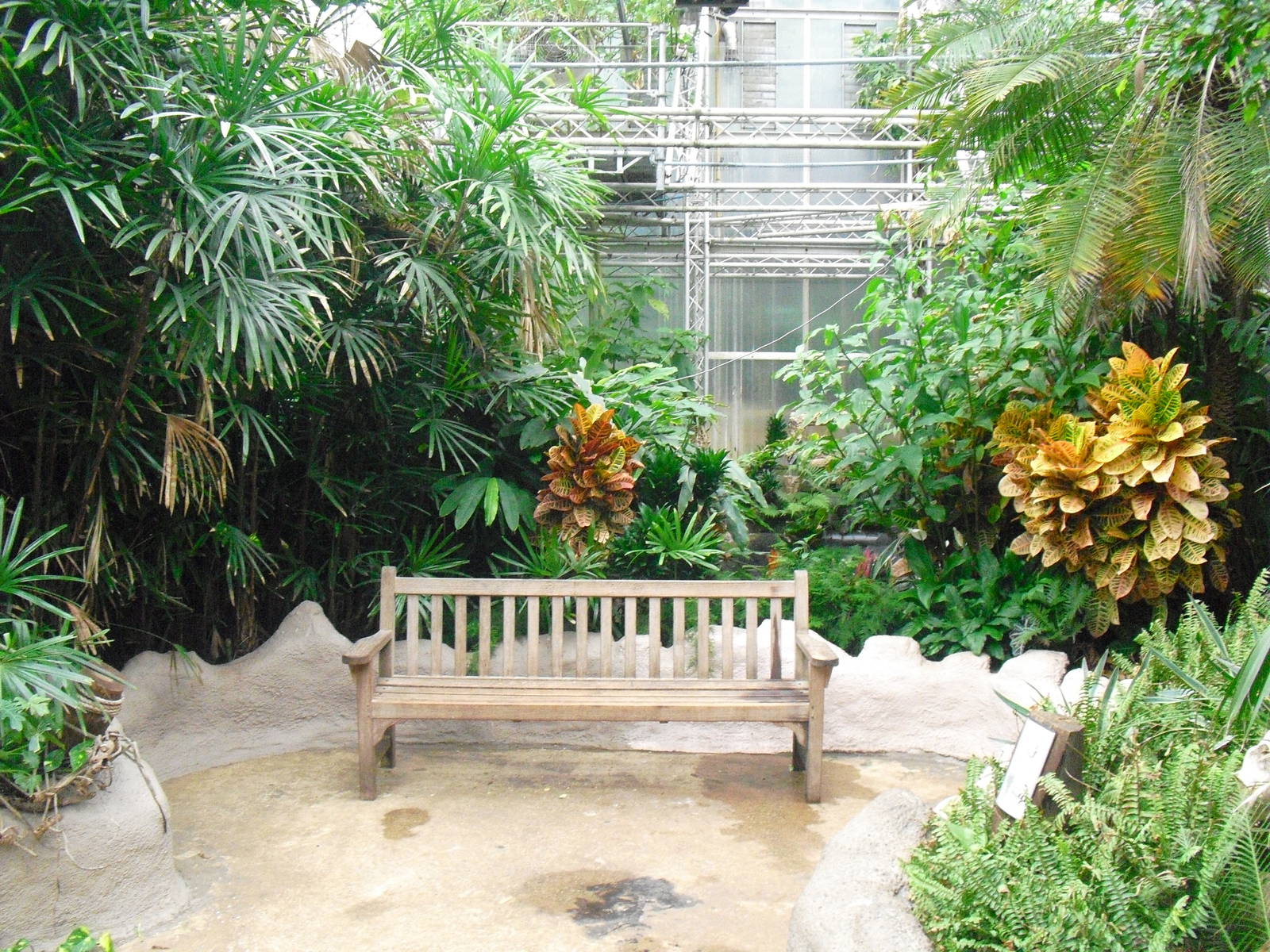 South America House - 12/10/2011