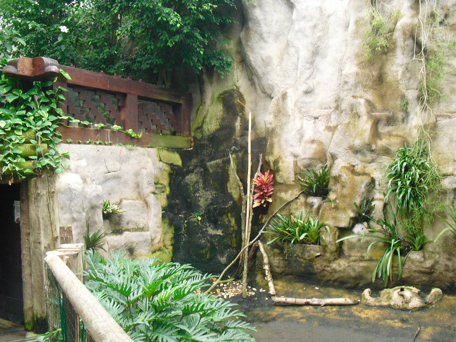 South America House - 12/10/2011